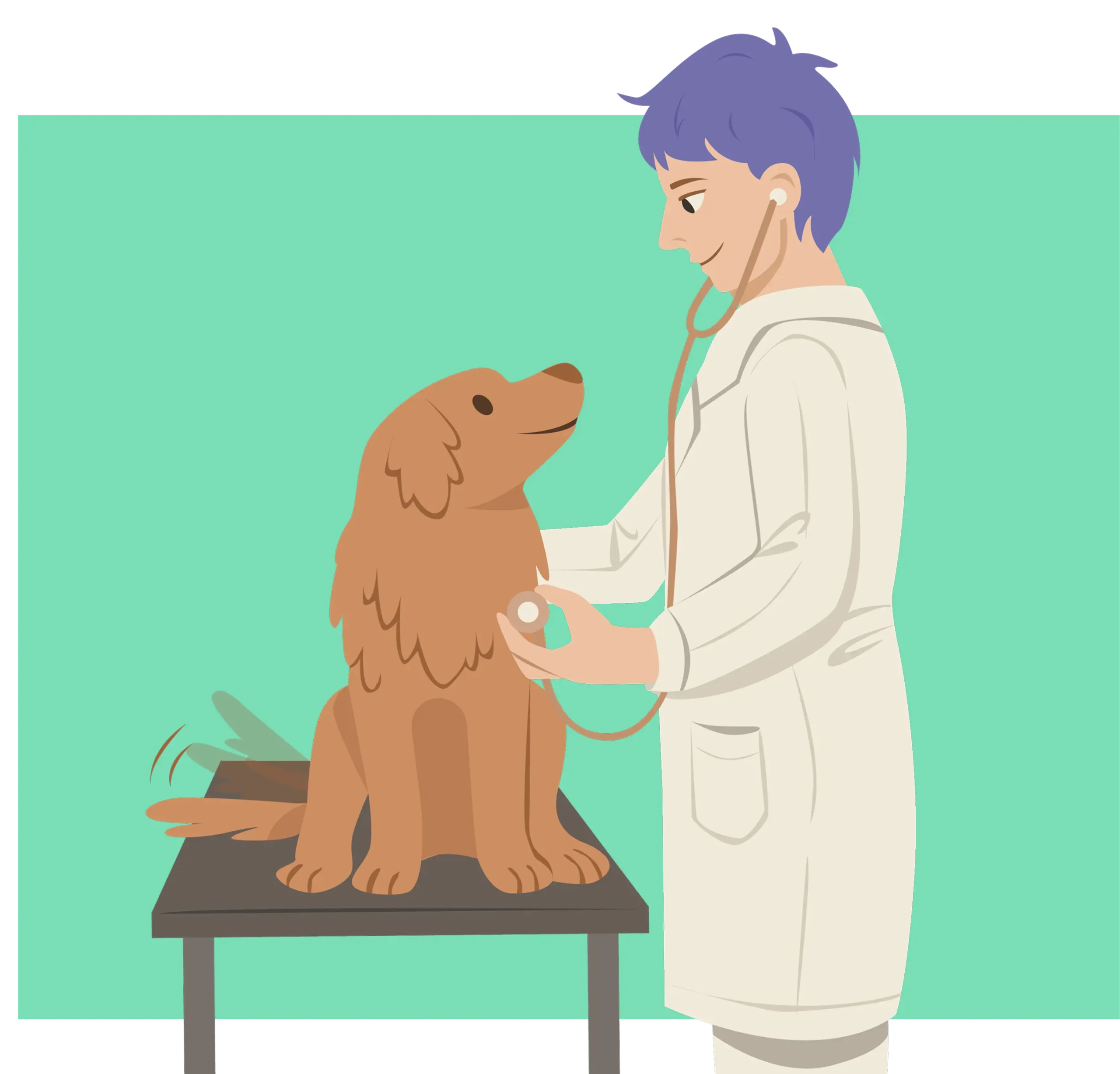 Médico examinando um cachorro com estetoscópio